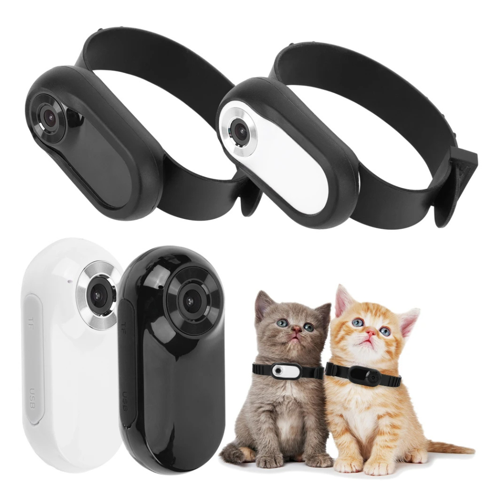 Kedi ve Köpekler İçin Kamera Tasması