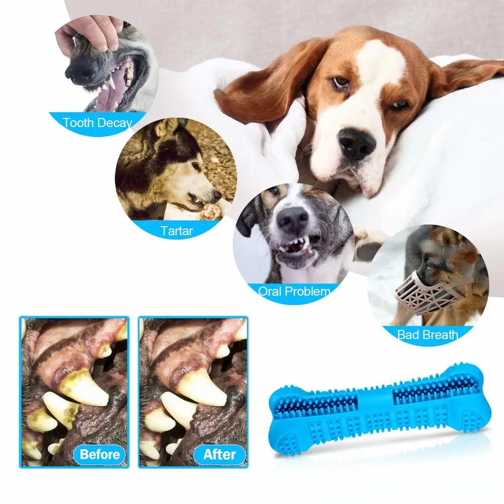 Spazzolino da Denti in Gomma Morbida e Sicura per l'Igiene Dentale degli Animali Domestici