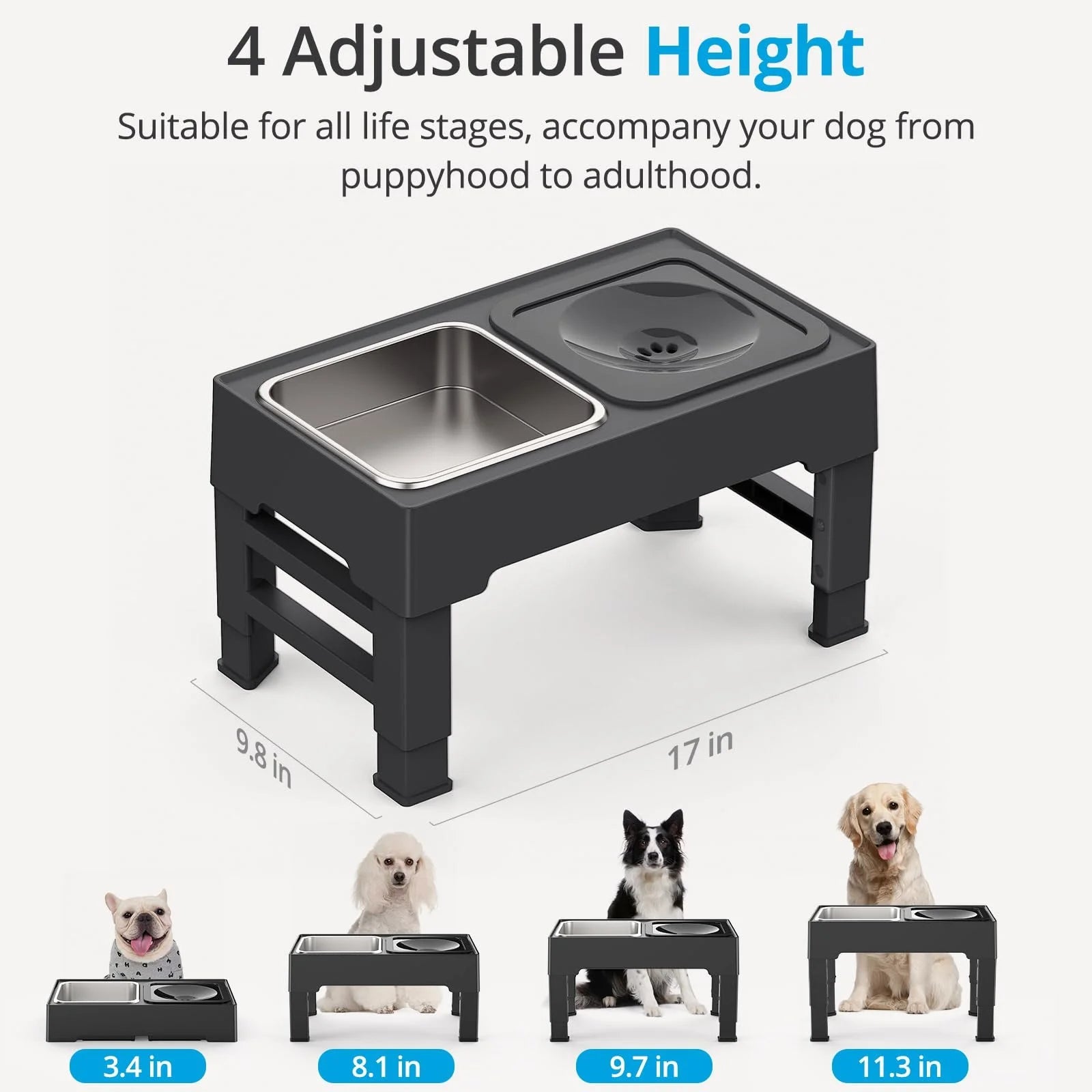 Premium Elevated Mess-Free Dog Bowl: The Ultimate Feeding Solution for Happy, Healthy Dogs