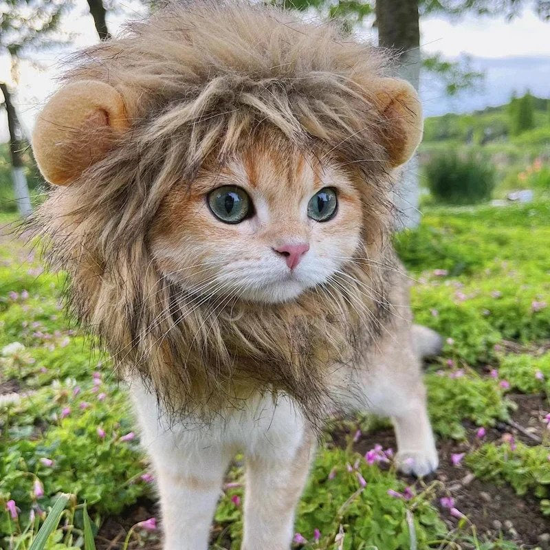 Cat Lion Mane kostume til katte og små hunde - Justerbar realistisk Lion Mane paryk til Halloween, jul og fotooptagelser