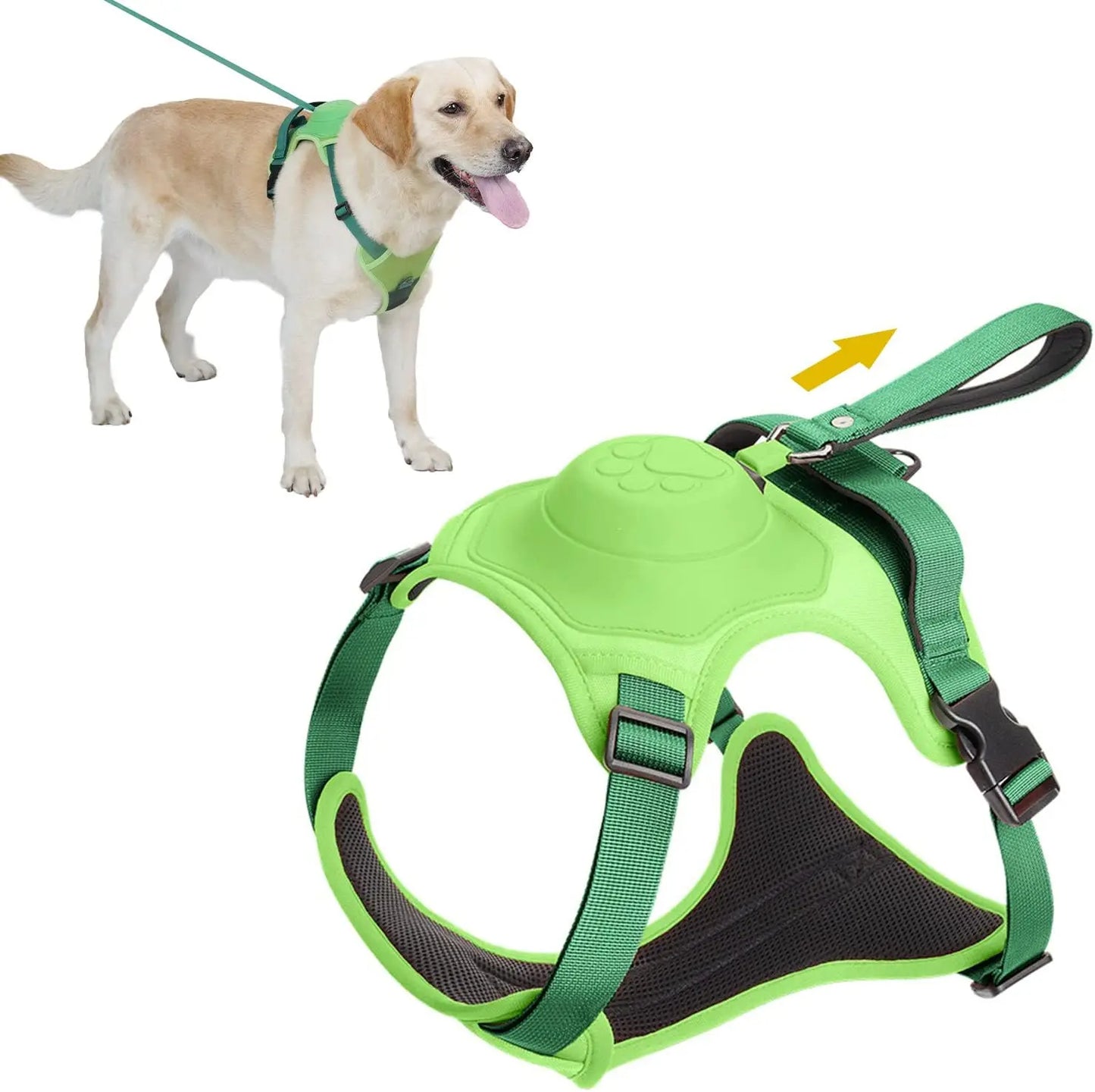 Ayarlanabilir Boyutlu Köpek Tasması ve Otomatik Geri Çekilebilir Tasma Seti