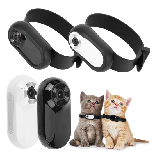 Kedi ve Köpekler İçin Kamera Tasması
