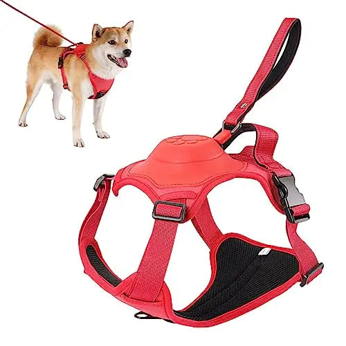 Dayanıklı Malzemelerden Üretilmiş Köpek Tasması ve Otomatik Geri Çekilebilir Tasma Seti