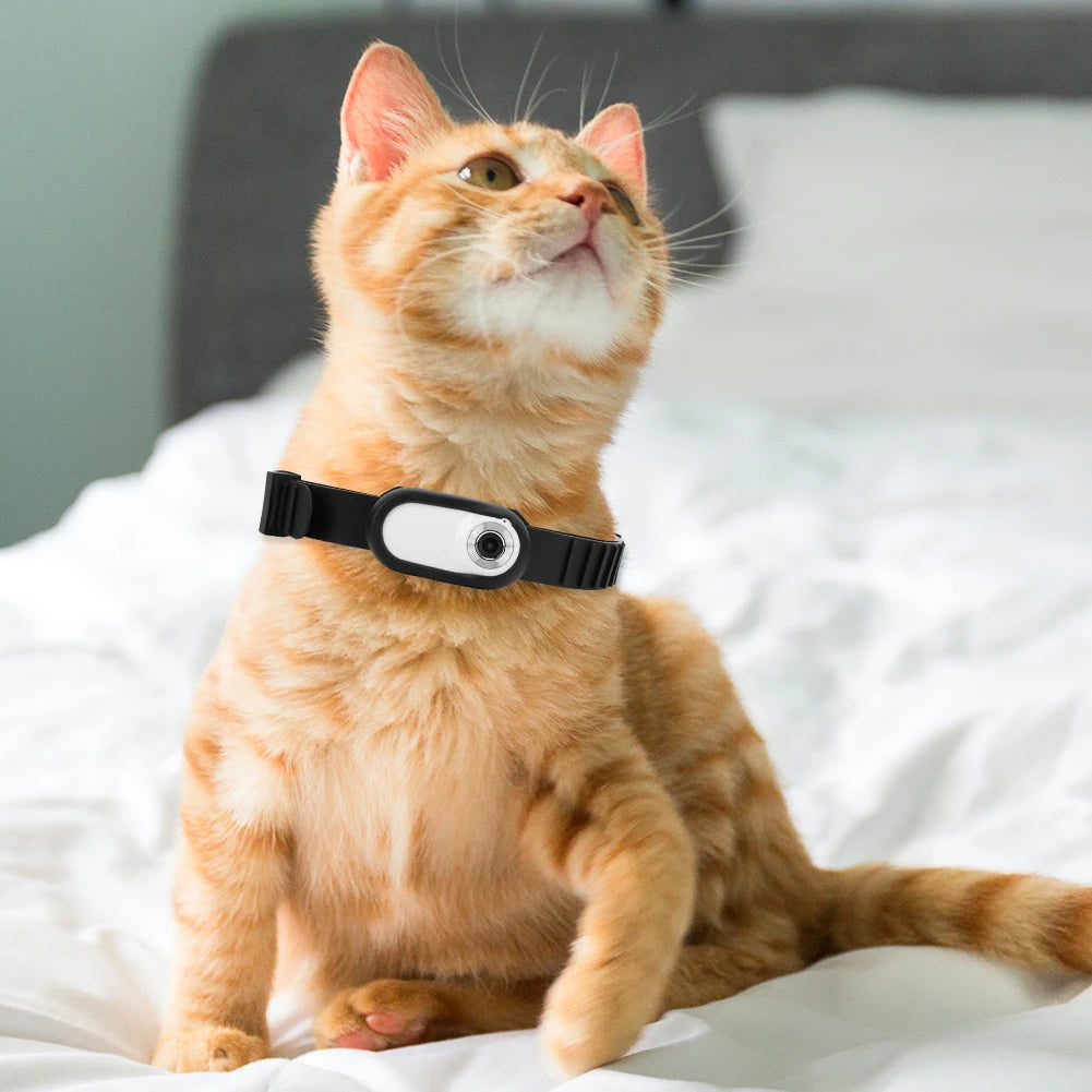 Kedi ve Köpekler İçin HD Kamera Tasması
