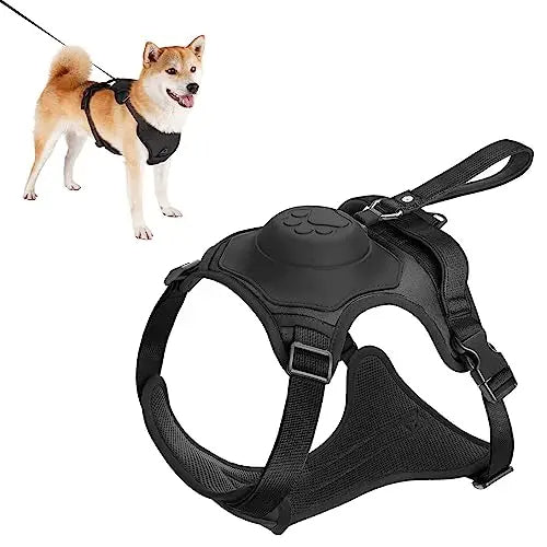 Ev Kullanımı İçin Köpek Tasması ve Otomatik Geri Çekilebilir Tasma Seti