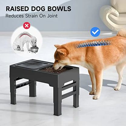 Dağınıklık Yapmayan Yükseltilmiş Köpek Mama Kabı
