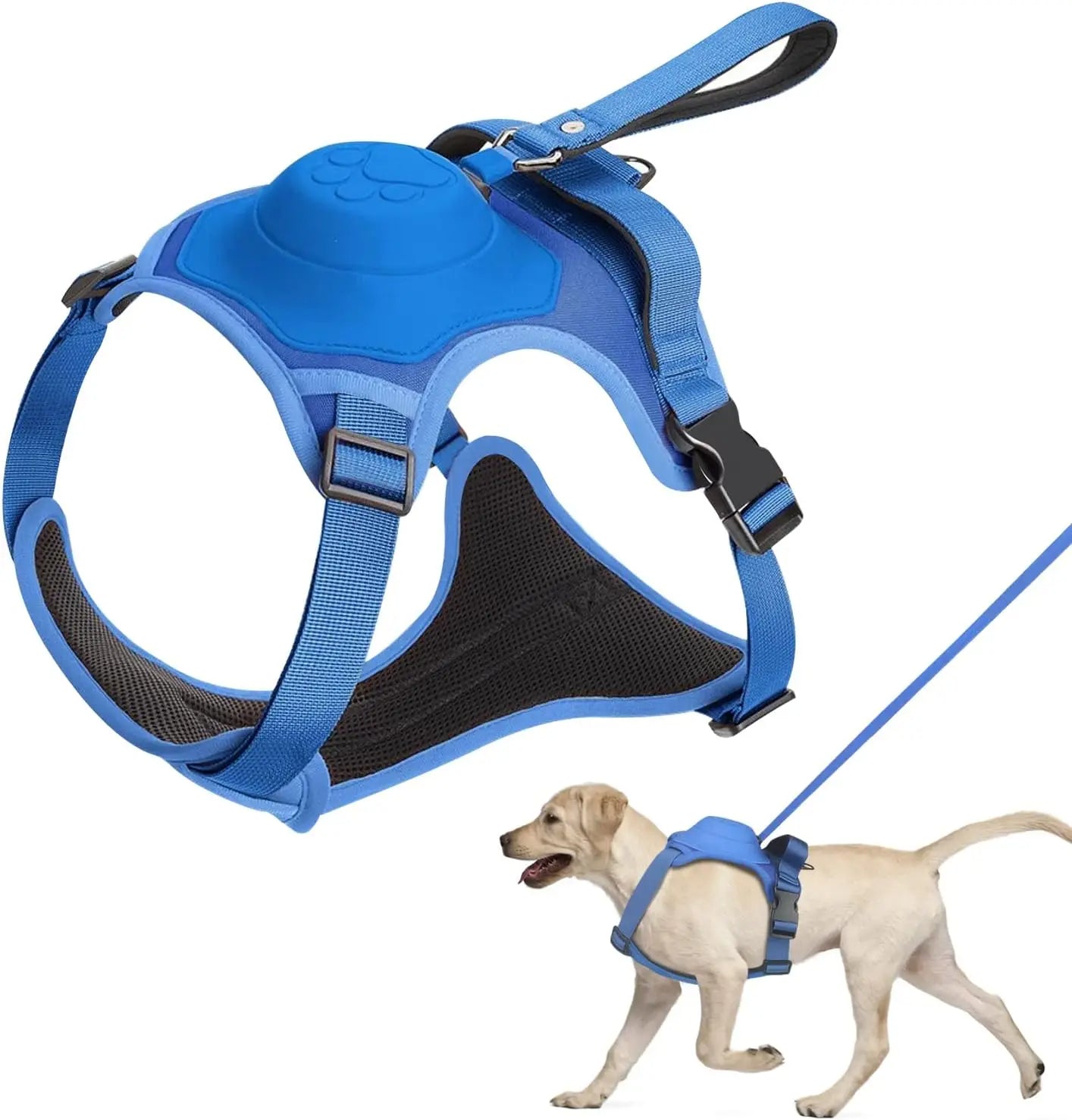 Çok İşlevli Köpek Tasması ve Otomatik Geri Çekilebilir Tasma Seti