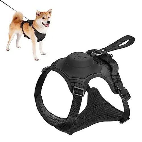 Taşınabilir Köpek Tasması ve Otomatik Geri Çekilebilir Tasma Seti
