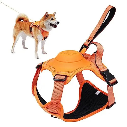 Güvenlik Köpek Tasması ve Otomatik Geri Çekilebilir Tasma Seti