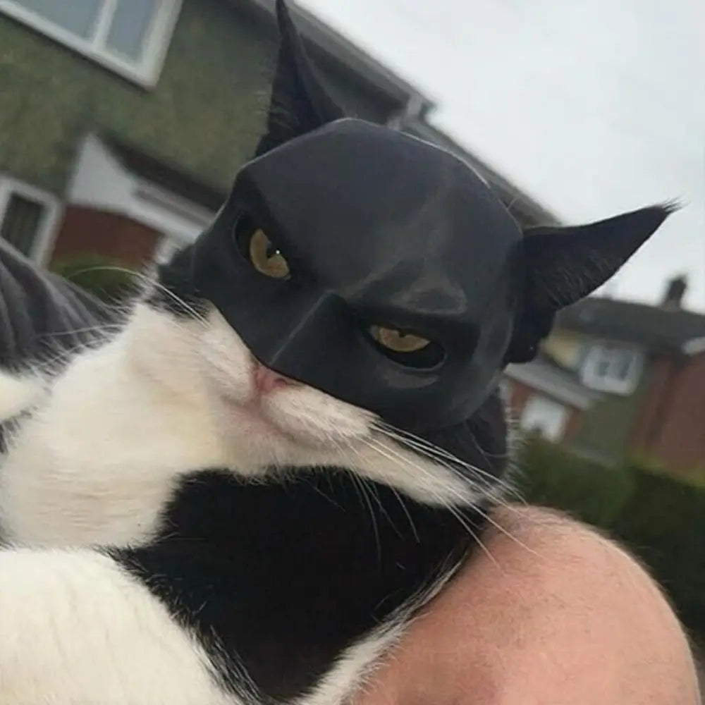 ayarlanabilir kedi yarasa maskesi
