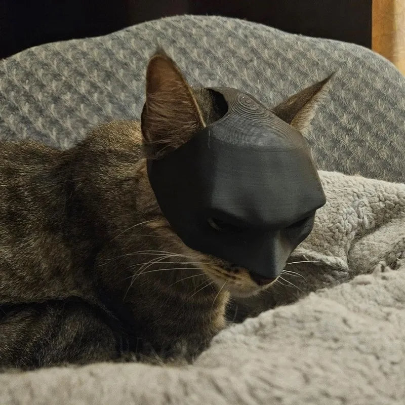 eğlenceli kedi yarasa maskesi
