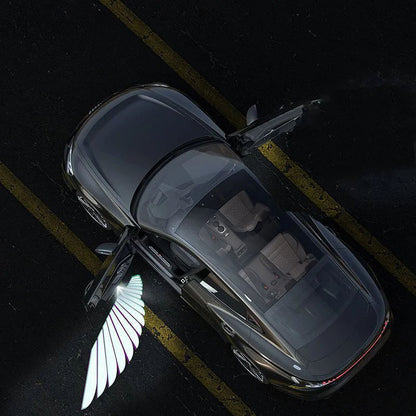 led lighting car angle wings
