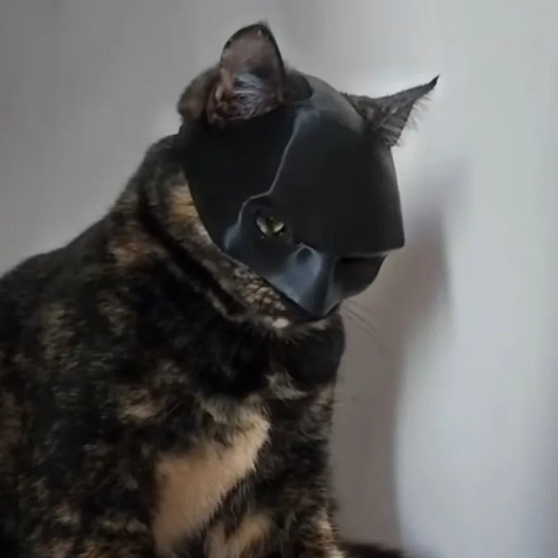 yumuşak kedi yarasa maskesi
